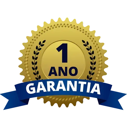 1 ano